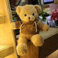 HKM-771411 Custom Butterfly Design Plush Teddy Bear - Soft Stuffed Toy, 25cm-99cm, Ideal Comforter Gift