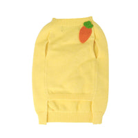 HKM-771987 Thick and Fluffy Dog Sweater for Autumn Winter – Available in Yellow and Multiple Sizes