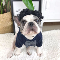 HKM-774611 Trendy Dog Sweater in Blue Wool - Stylish England-Inspired Bottoming Shirt for Pets