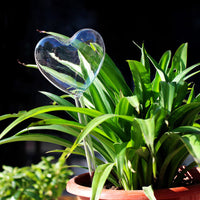 HKM-775955 Automatic Glass Plant Watering Device for Easy Care