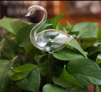 HKM-775955 Automatic Glass Plant Watering Device for Easy Care