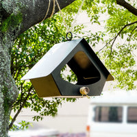 HKM-775955 Simple Iron Bird Nest for Outdoor Courtyard Decoration - Anti-Rain Design