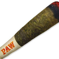 HKM-777619 Plush Dog Toy - Sound-Prank Toy Shaped Like Fake Cigarettes