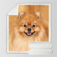 HKM-777747 Double-Sided Flannel Blanket for All-Season Comfort and Warmth
