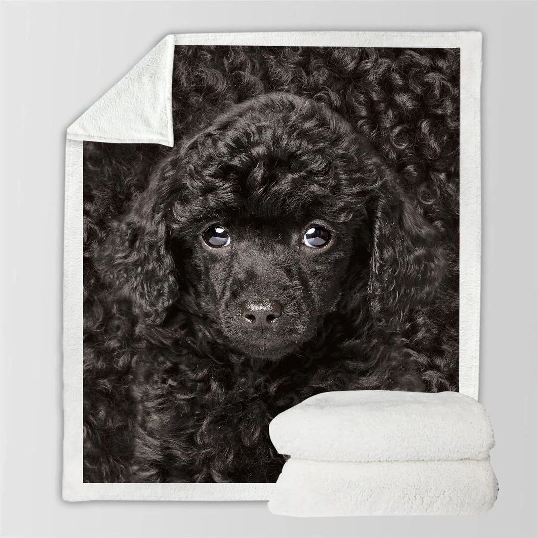 HKM-777747 Double-Sided Flannel Blanket for All-Season Comfort and Warmth