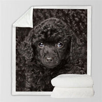 HKM-777747 Double-Sided Flannel Blanket for All-Season Comfort and Warmth