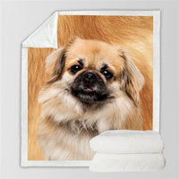 HKM-777747 Double-Sided Flannel Blanket for All-Season Comfort and Warmth