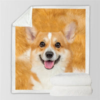 HKM-777747 Double-Sided Flannel Blanket for All-Season Comfort and Warmth