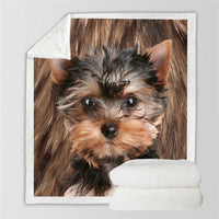 HKM-777747 Double-Sided Flannel Blanket for All-Season Comfort and Warmth