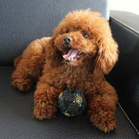 HKM-777939 Paw Prime's Tricky Treat Ball