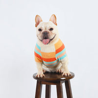 HKM-778131 Colorful Striped Cotton Dog Clothes in Various Sizes for All Breeds