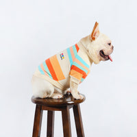 HKM-778131 Colorful Striped Cotton Dog Clothes in Various Sizes for All Breeds
