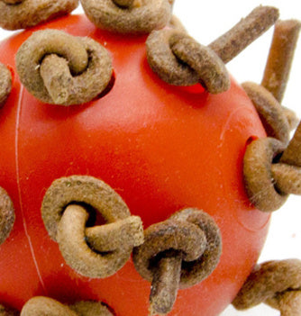 HKM-778259 Interactive Plastic Chewing Ball for Parrots with Leather Rope