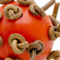 HKM-778259 Interactive Plastic Chewing Ball for Parrots with Leather Rope