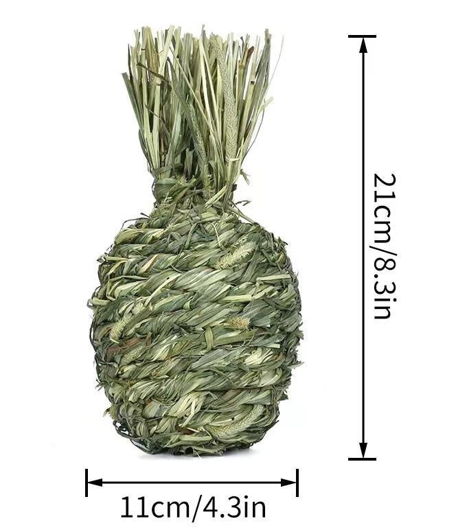 HKM-778771 Timothy Grass Pet Rabbit Chew Toys - Assorted Shapes including Eggplant, Apple, Pear, Banana, and Pineapple