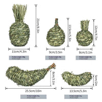 HKM-778771 Timothy Grass Pet Rabbit Chew Toys - Assorted Shapes including Eggplant, Apple, Pear, Banana, and Pineapple