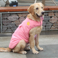 HKM-781267 Waterproof Dog Vest Jacket for Small to Large Dogs – Warm, Cozy Winter Coat in Multiple Colors
