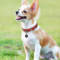 HKM-781971 Double-Layer Super Fiber Pet Leather Collar for Small and Medium Dogs with Custom Rose Nail Design