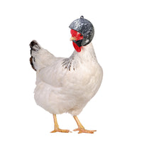 HKM-782227 Protective Chicken Hat in Rainbow, Army Green, Black & White Plaid, Pink Smiling Face, and More