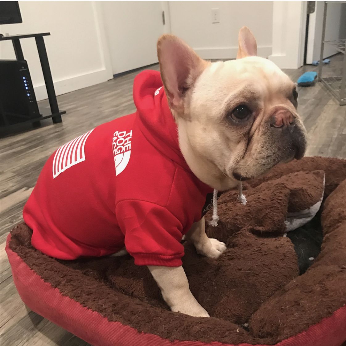 HKM-782547 Cozy Polyester Sweatshirt for Dogs - Warm Autumn & Winter Apparel