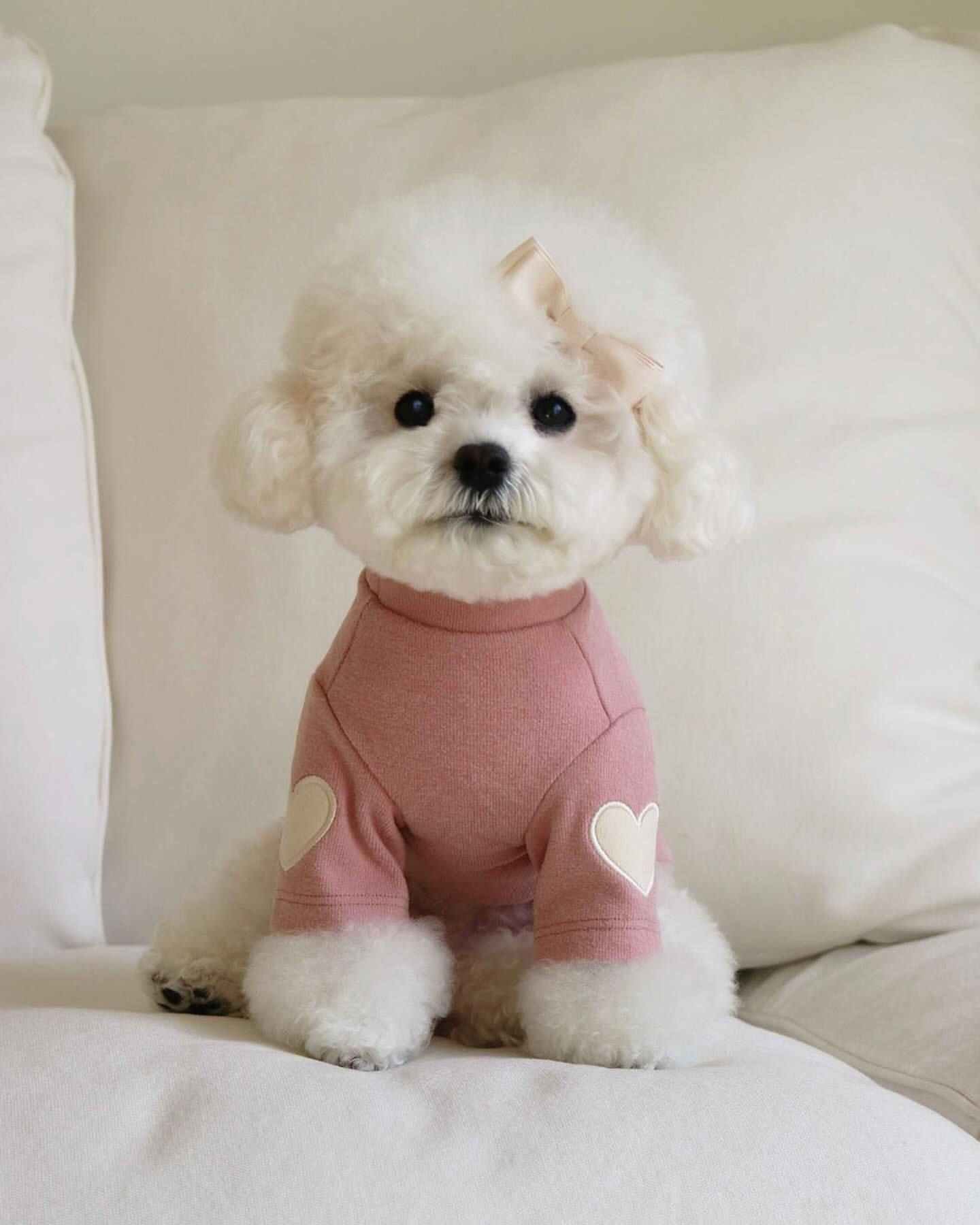 HKM-784659 Cozy Embroidered Dog Sweater for Autumn and Winter in Beige, Pink, Dark Green, and Brown