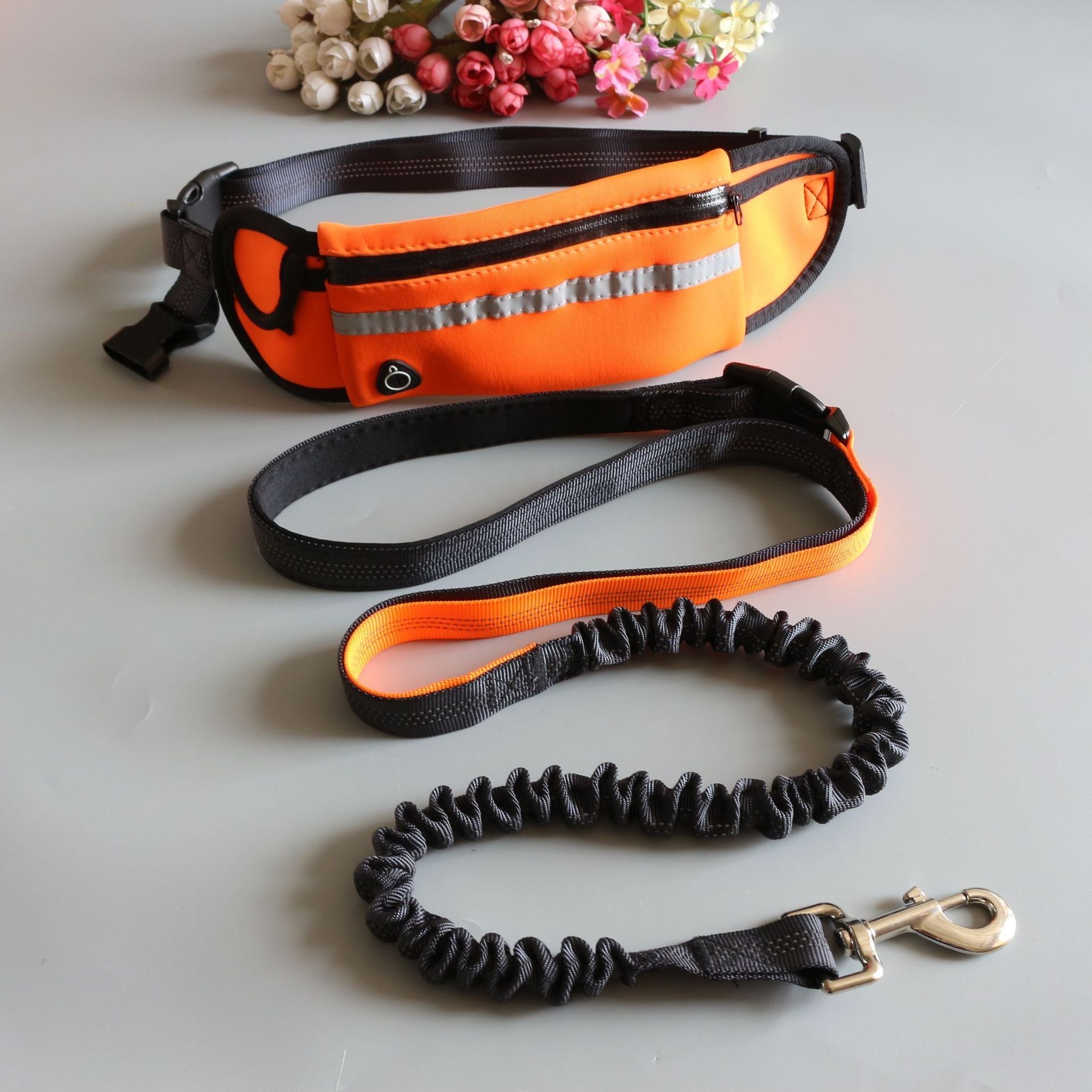 HKM-784915 Pet Traction Rope with Running Waist Bag – Adjustable Two-Piece Set for Active Lifestyle