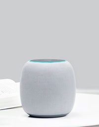 HKM-785299 Mini Wireless Bluetooth Speaker with Voice Recognition and Smart Home Control