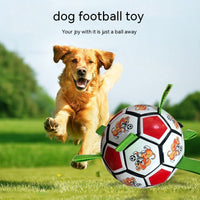 HKM-785683 Dog Football Bite-resistant Molar Bite-resistant Toy
