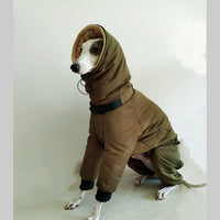 HKM-786067 Cotton Padded Winter Jacket for Pets - Military Green, Sizes S to XL