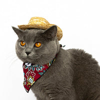 HKM-787539 Pet Cat Straw Cowboy Hat in Brown - Stylish Four Seasons Accessory