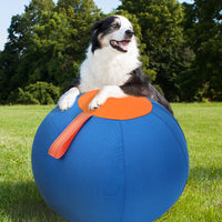 HKM-787987 Funny Shiba Inu Corgi Self-Hi Pet Training Ball