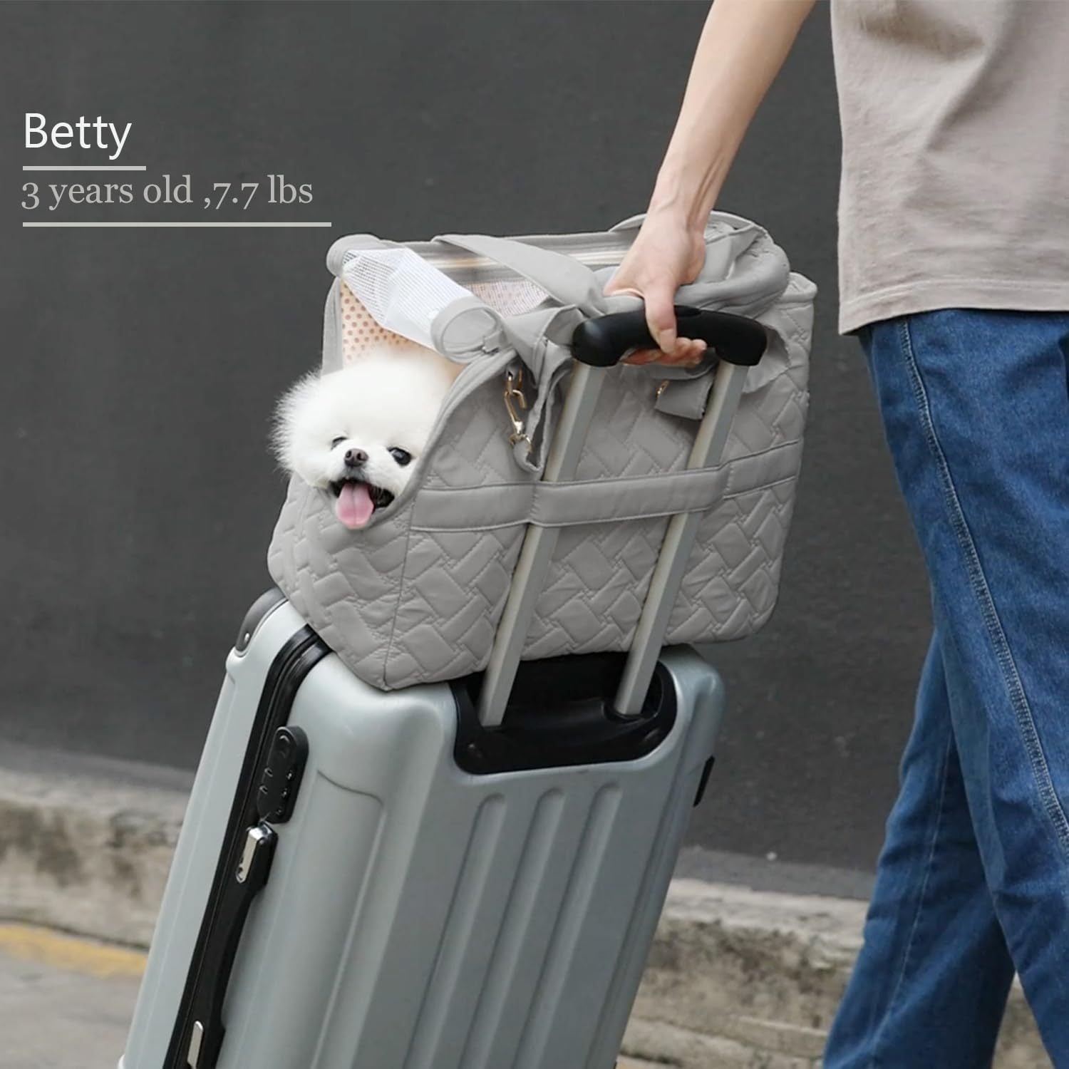 HKM-788371 Portable Cat and Dog Carrier Bag with Soft Cushion, Breathable Mesh and Multiple Pockets for Travel and Outdoor Use