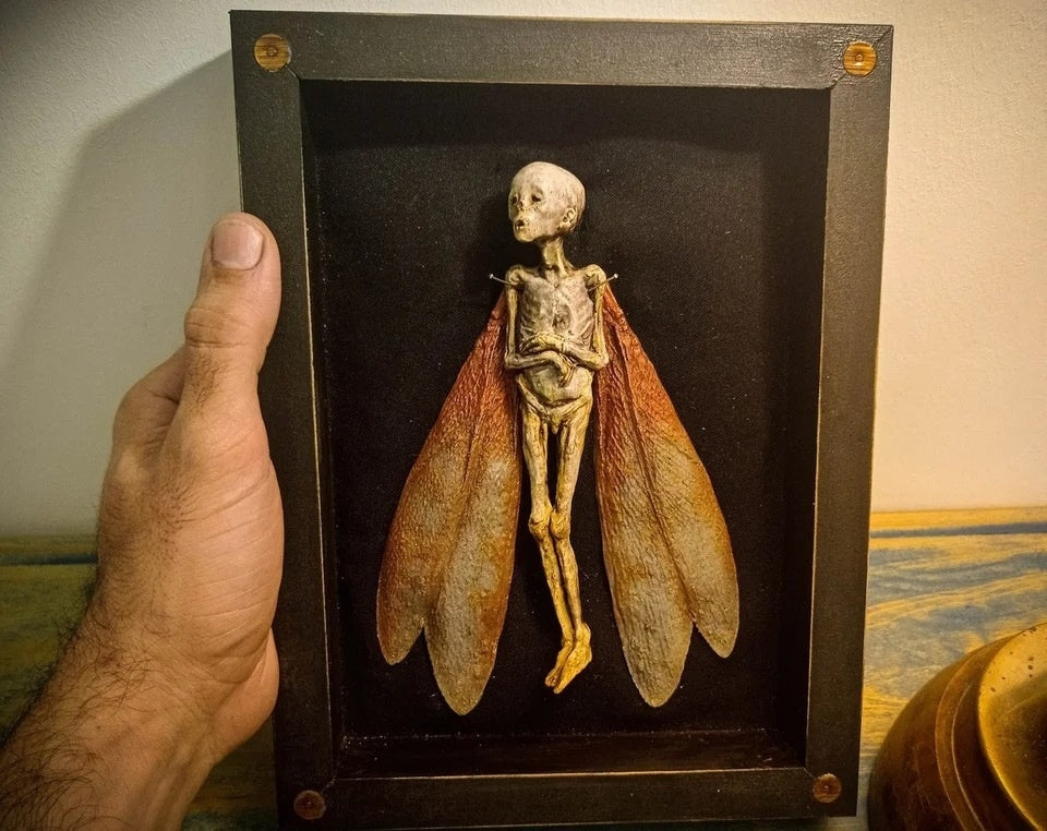 HKM-788819 Wooden Cursed Items Fairy Shadow Box Display - Halloween Scene Decor