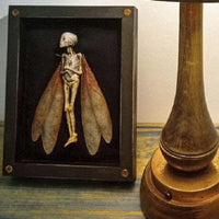 HKM-788819 Wooden Cursed Items Fairy Shadow Box Display - Halloween Scene Decor