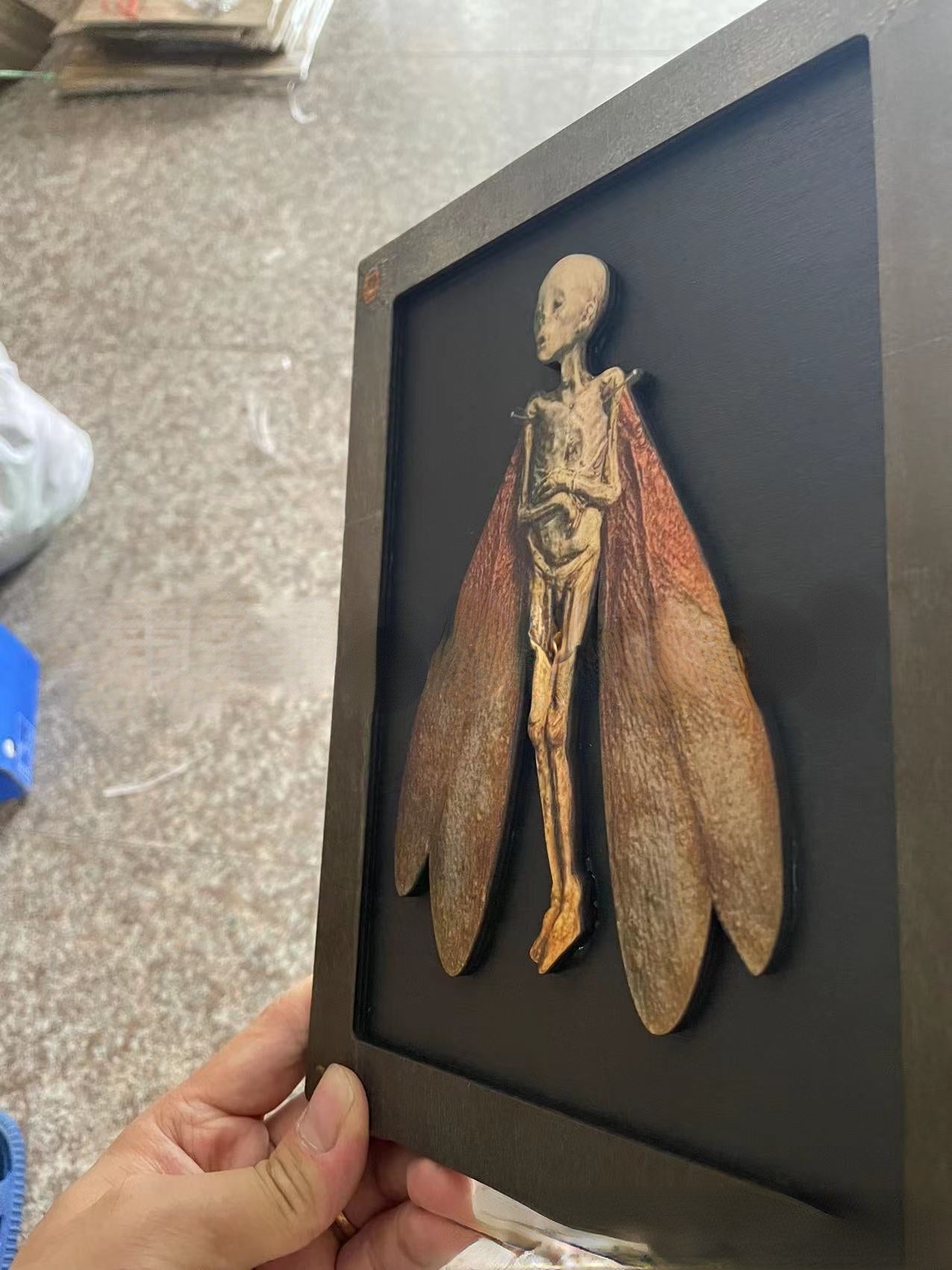 HKM-788819 Wooden Cursed Items Fairy Shadow Box Display - Halloween Scene Decor