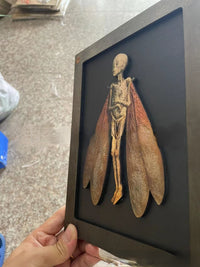 HKM-788819 Wooden Cursed Items Fairy Shadow Box Display - Halloween Scene Decor