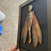 HKM-788819 Wooden Cursed Items Fairy Shadow Box Display - Halloween Scene Decor