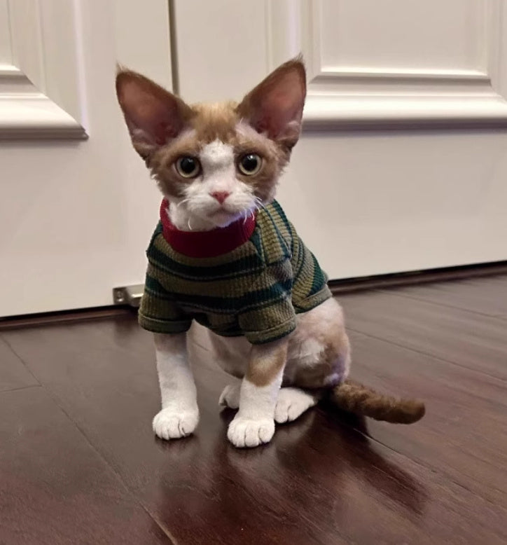 HKM-789011 Cute Green Striped Two-Legged Vest for Pets - Durable and Breathable, Perfect for Autumn Casual Wear