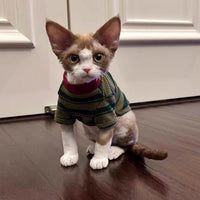 HKM-789011 Cute Green Striped Two-Legged Vest for Pets - Durable and Breathable, Perfect for Autumn Casual Wear