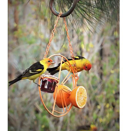 HKM-789779 Outdoor Orange Hummingbird Feeder and Water Station for Birds