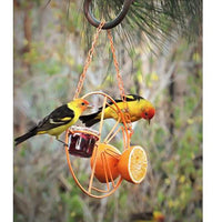 HKM-789779 Outdoor Orange Hummingbird Feeder and Water Station for Birds