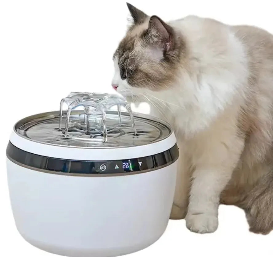 KTX-791443 Automatic 304 Stainless Steel Cat Water Dispenser with Temperature Control