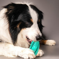 HKM-792659 Eco-Friendly Round Rubber Dog Toy Ball for Dental Care and Treat Dispensing