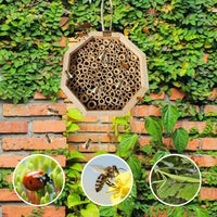 HKM-792915 Wooden Bee Breeding Box for Insects with Bamboo Tubes and Natural Habitat Features