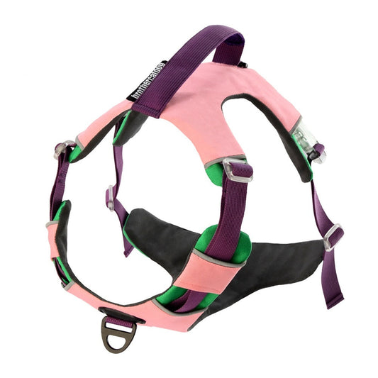 HKM-793491 Reflective Dog Training Vest Chest Strap - Available in Barbie Pink, Grape Purple, Wine Red - Durable Nylon Material
