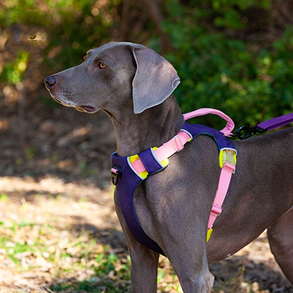 HKM-793491 Reflective Dog Training Vest Chest Strap - Available in Barbie Pink, Grape Purple, Wine Red - Durable Nylon Material