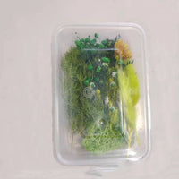 HKM-794067 Dried Flower Photo Frame Craft Kit with Everlasting Flowers