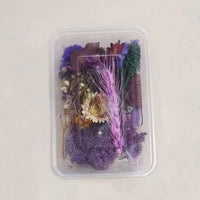 HKM-794067 Dried Flower Photo Frame Craft Kit with Everlasting Flowers