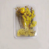 HKM-794067 Dried Flower Photo Frame Craft Kit with Everlasting Flowers