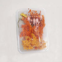 HKM-794067 Dried Flower Photo Frame Craft Kit with Everlasting Flowers